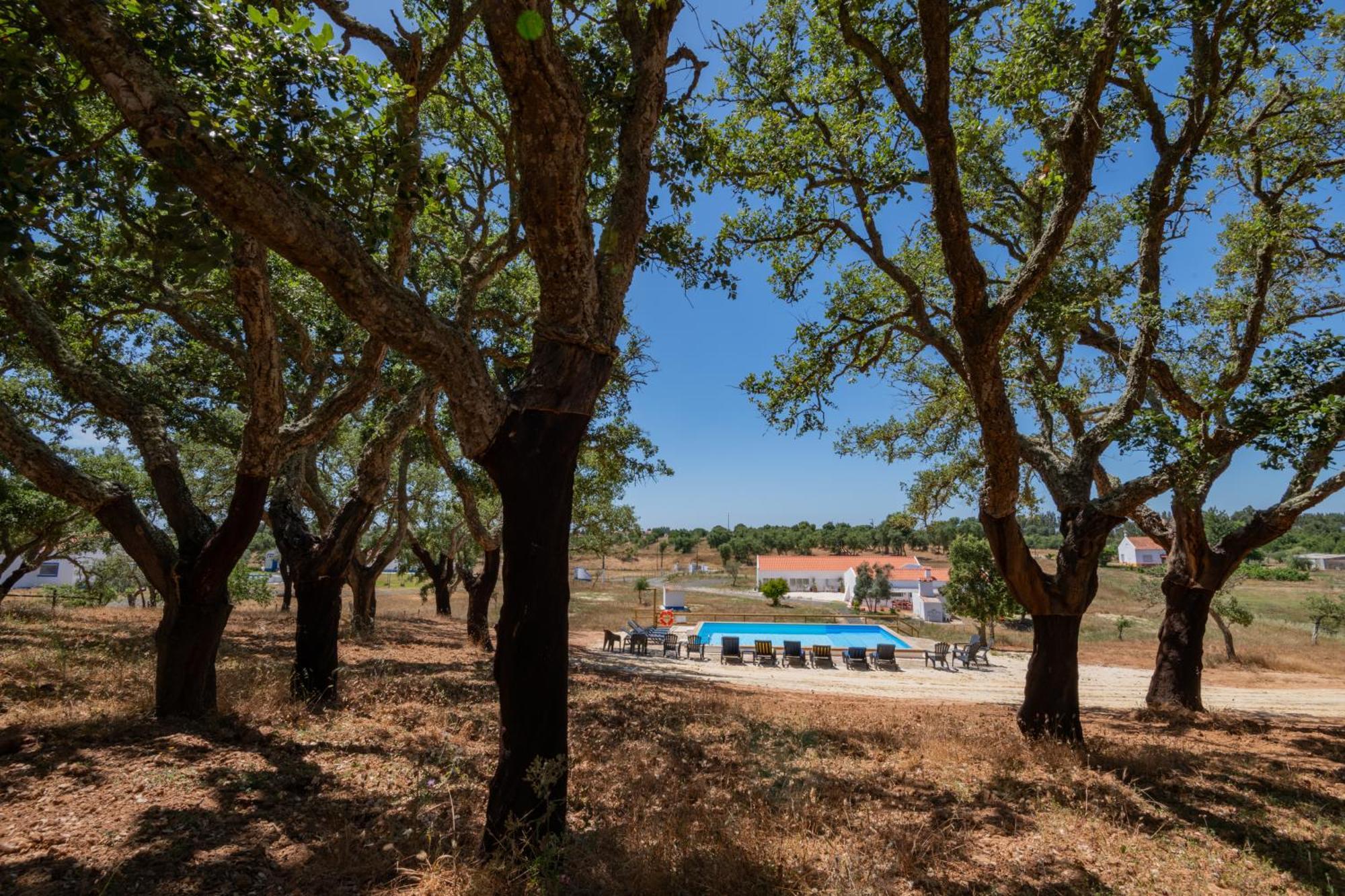 Valle D'Agua - Casas De Campo Vale de Água 外观 照片